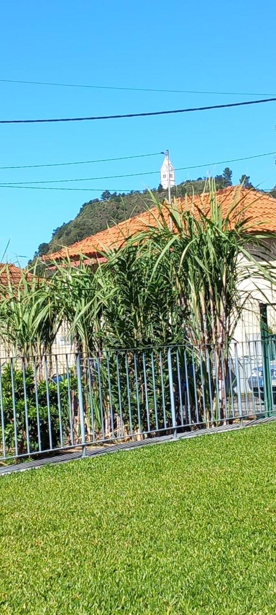 Refugio Do Limoeiro Villa São Vicente Екстериор снимка