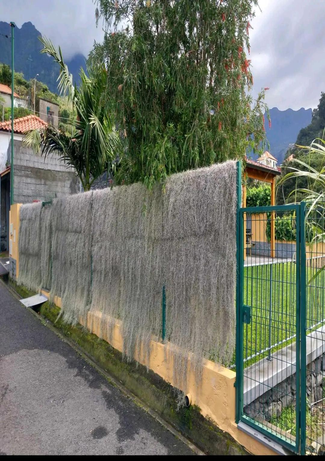 Refugio Do Limoeiro Villa São Vicente Екстериор снимка